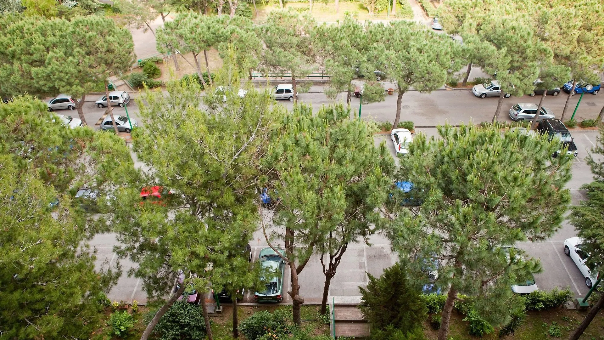 Rooms Rent Vesuvio B&B Cercola Lejlighed