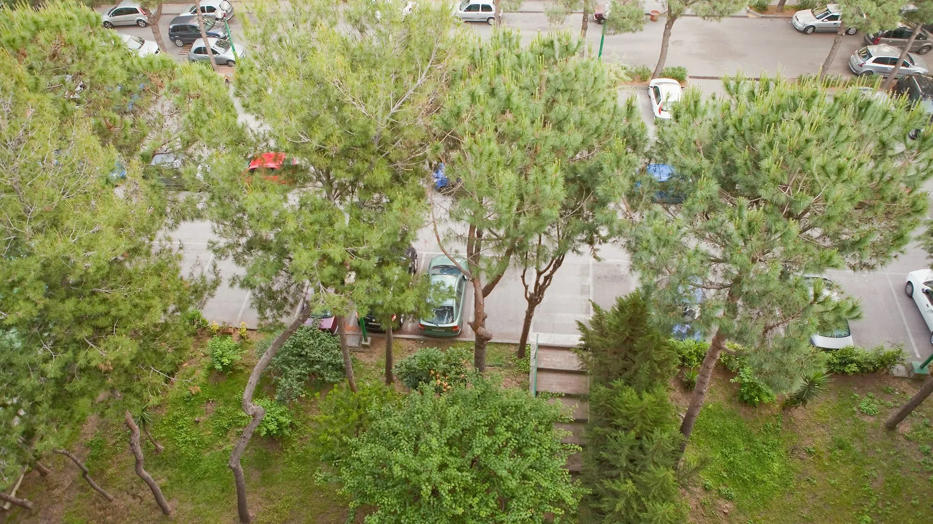 Apartment Rooms Rent Vesuvio B&B Cercola Italy